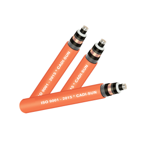 CÁP 1 LÕI, MÀN CHẮN BĂNG ĐỒNG, GIÁP SỢI NHÔM - AWA(AAWA)/CTS-W 1X? - 6/10 (12)KV