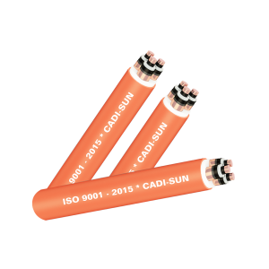 CÁP 3 LÕI, MÀN CHẮN BĂNG ĐỒNG, KHÔNG GIÁP - CXV(AXV)/CTS-W 3X? - 6/10 (12)KV