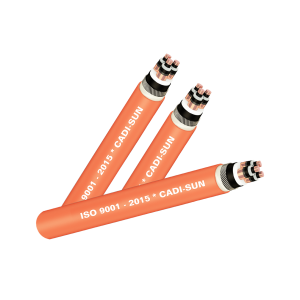 CÁP 3 LÕI, MÀN CHẮN BĂNG ĐỒNG, GIÁP SỢI THÉP - SWA(ASWA)/CTS-W 3X? - 6/10 (12)KV