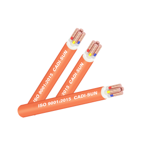 Cáp chậm cháy FSN- CXV 4X